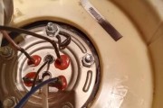 如何解决热水器管子被鸟占据的问题（有效防止鸟类进入热水器管道并导致故障的关键方法）