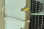 热水器挂钩如何保证朝上？正确安装步骤是什么？