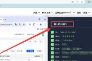 ip代理地址怎么用？如何正确配置和使用？