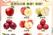 苹果S13代手机有何新特性？与前代相比有何改进？
