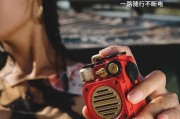 猫王音箱拆解步骤图解在哪里能找到？