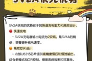 充电瓶地摊灯充电器的标准电压是多少？使用安全吗？