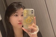金色发财的苹果手机壳叫什么？是否具有特殊含义？