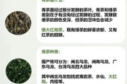 苹果手机下载茶叶应用的步骤是什么？