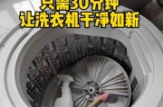 全自动洗衣机洗不了的原因及修复方法（解决洗衣机无法正常工作的常见问题和技巧）