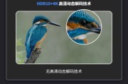 康家投影仪删除应用程序的步骤是什么？