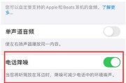 苹果转换音箱接头使用方法？使用中可能遇到哪些问题？