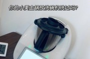 铁锅被洗碗机洗后变白（如何处理铁锅因洗碗机而变白的问题）
