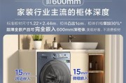 滚筒洗衣机掉油漆问题的应对方法（滚筒洗衣机掉油漆怎么办）