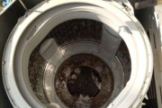 如何清洗臭味的洗衣机（清除洗衣机臭味的有效方法及技巧）