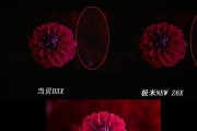 投影仪测色差应该使用什么软件？该软件如何操作使用？