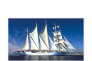 海尔阿里电视价格介绍（高品质与实惠兼备的海尔阿里电视）