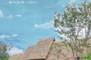 手机如何使用花田相框拍照？