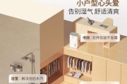 松下除湿机如何正确使用？常见问题有哪些解决方法？