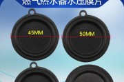 如何修复掉落的燃气热水器垫子（简单解决燃气热水器垫子掉落的问题）