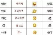 微信表情的魅力与含义（探索微信表情的多样性和沟通方式）