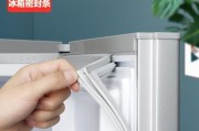 冰箱门上封条的清洗方法（保持卫生）
