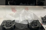 以robam清洗油烟机的方法与技巧（保护家居环境）