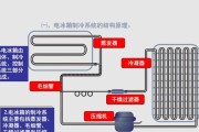 电冰箱的工作原理（解密电冰箱是如何运转的）