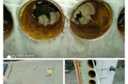 热水器清洗多少钱？热水器清洗费用是多少？