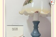 苹果大号充电器的正确充电方法是什么？