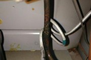 冰箱制冷剂泄漏的原因及预防方法（深入探究冰箱制冷剂泄漏的原因）
