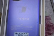 分析OPPO手机为什么连不上网的原因（探索OPPO手机无法连接互联网的关键问题和解决方法）