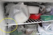 夏季冰箱着火的原因及预防方法（避免冰箱着火）