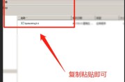 提高效率，掌握复制粘贴的技巧（简单易学）