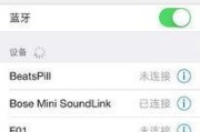 苹果手机无法搜索到WiFi的原因及解决方法（探究苹果手机无法搜索到WiFi的常见问题及解决方案）