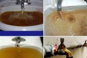 解决净水器滤芯堵塞问题的有效方法（预防和处理净水器滤芯堵塞的技巧与建议）