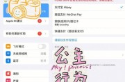 苹果id退出登录访问限制的方法是什么？