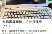 解除电脑两边黑屏的有效方法（快速恢复电脑正常显示的技巧与建议）