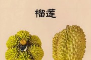 如何用手机拍出鲜亮的水果照片？有哪些拍摄技巧？