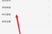 手机来电转接设置详解（实现来电转接的步骤和关键设置）