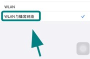 解决无线网络显示不可上网的窍门（快速排查和修复无线网络连接问题）