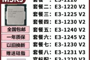 E31230V2和E31230V3处理器的区别（E31230V2与E31230V3的性能、功耗和价格对比分析）