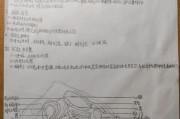 河蚌外壳手绘图案图片怎么画？有哪些创意设计？
