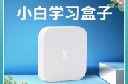 打印机开机没有网络怎么办（解决打印机无法连接网络的问题）