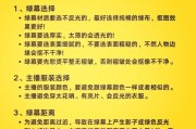 猛犸相机绿幕如何使用？用手机拍照时如何设置？