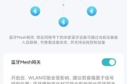 门锁网关连接的必要性是什么？遇到连接问题怎么办？