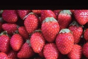 投影仪投射距离短怎么办？投影仪投射距离解决方法是什么？