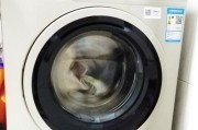 小天鹅洗衣机E30故障及解决方法（探究E30故障产生的原因和有效解决方案）