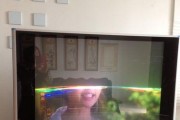 解决液晶电视黑屏的有效方法（液晶电视黑屏原因分析及处理步骤）
