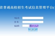 高考报名系统登录指南（高考报名系统登录流程及注意事项）