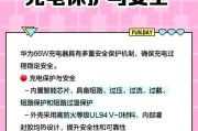 大艺充电器双口充电使用方法是什么？