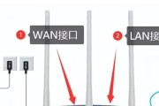 网线路连接路由器的设置步骤是什么？