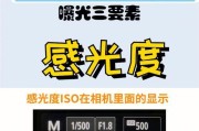 苹果手机相机水平线调整方法是什么？