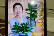 台铃荣耀手机如何连接控制？