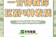 1分钟教会你简单的方法（轻松掌握实用技巧）